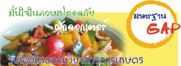 ผักดอกเตอร์ 